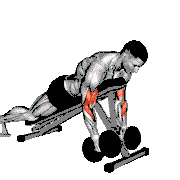 Dumbbell Prone Alternate Hammer Curl