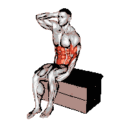 Sitting Side Crunch on a Padded Stool