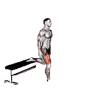 Assisted Bulgarian Split Squat demonstration