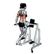 Triceps Dips