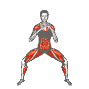 Half Squat Torso Punches