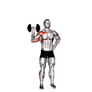 Dumbbell One-Arm Shoulder Press