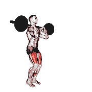 Barbell Front Rack Lunge demonstration