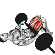 Barbell Glute Bridge (Hands on Bar) demonstration