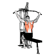 Cable Wide-Grip Rear Pulldown Behind Neck
