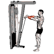 Cable Standing Wrist Roll