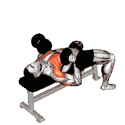 Bench Press