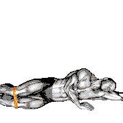 Resistance Band Clam demonstration