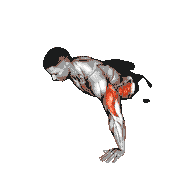 Twist Push-Up demonstration