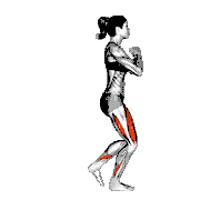 Bodyweight Reverse Lunge