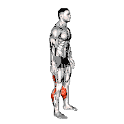 Standing Hamstrings and Back Stretch