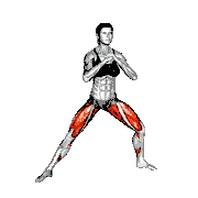 Pulsing Side Lunge