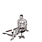 Band Seated Hip Internal Rotation demonstration