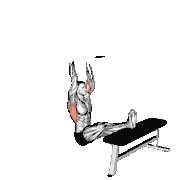 Seated Chin-Up (Legs Elevated)