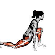 Low Lunge
