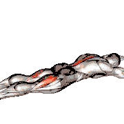 Alternating Superman demonstration