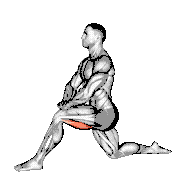 Kneeling Hip Flexor Stretch demonstration