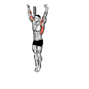Dead Hang Stretch