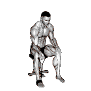 Band Wrist Curl demonstration