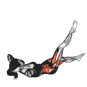 Lying Single to Double Leg Raise