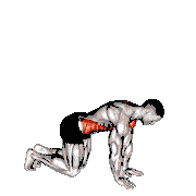 Kneeling Back Rotation Stretch