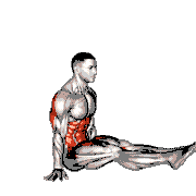 V Sit on Floor demonstration