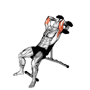 Dumbbell Lying Alternate Extension
