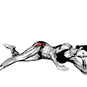 Side Lying T Thigh Raise