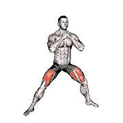 Side Squat