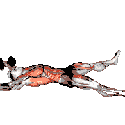 Dumbbell Starfish Crunch (Beginner)