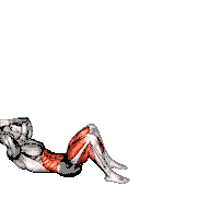 Fixed Feet Sit-Up Stand