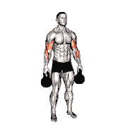 Kettlebell Standing Reverse Curl