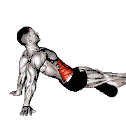 Roll Reverse Crunch