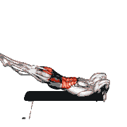 Leg Raise Dragon Flag