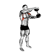 Dumbbell Standing Driver demonstration