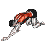 Parsva Balasana Yoga Pose