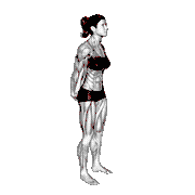 Bodyweight Standing Back Stretch demonstration