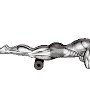 Roll Rectus Femoris