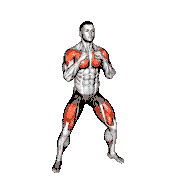 Top Bottom Punch Squat demonstration
