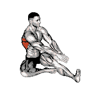Sitting Side Reach Stretch