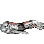 Lying Alternate Leg Extension