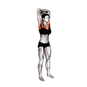 Standing Reach Up Back Rotation Stretch