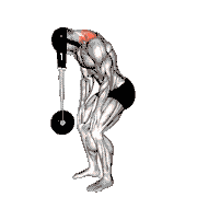 Weighted Standing Neck Extension (With Head Harness) demonstration
