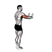 Close-Grip Push-Up Against the Wall