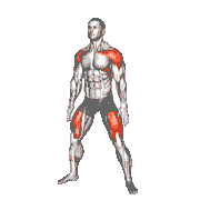 Wide Air Squat demonstration