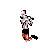 Cable Assisted Inverse Leg Curl