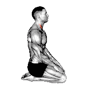 Seated Chin Tuck