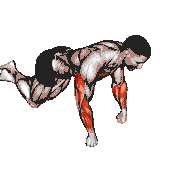Kneeling Fist Push-Up