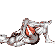 Single Leg Glute Bridge with Knee to Chest