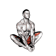Butterfly Yoga Pose